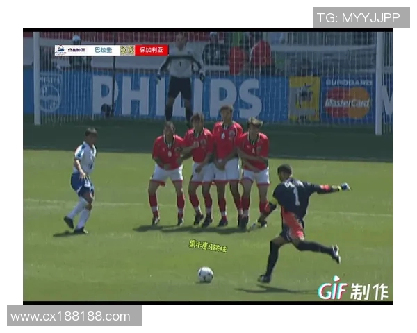 重庆乒乓球队在世界杯预选赛中的团队协作表现分析与点评